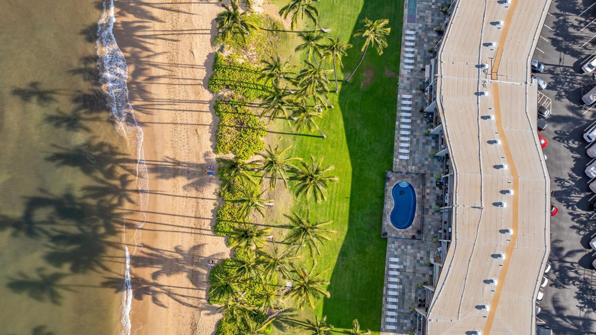 Hale Kai O'Kihei 317 Apartment Ngoại thất bức ảnh