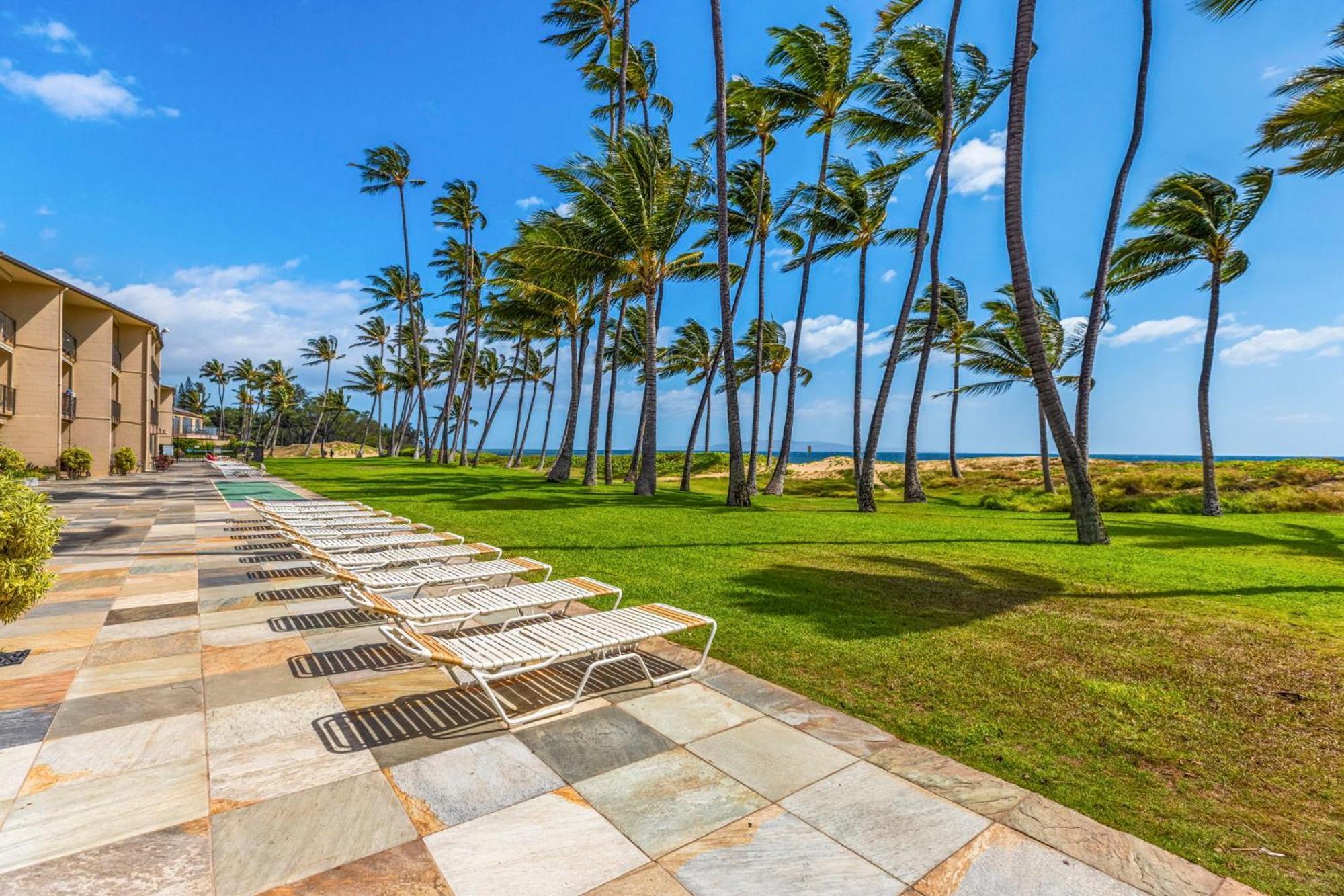 Hale Kai O'Kihei 317 Apartment Ngoại thất bức ảnh