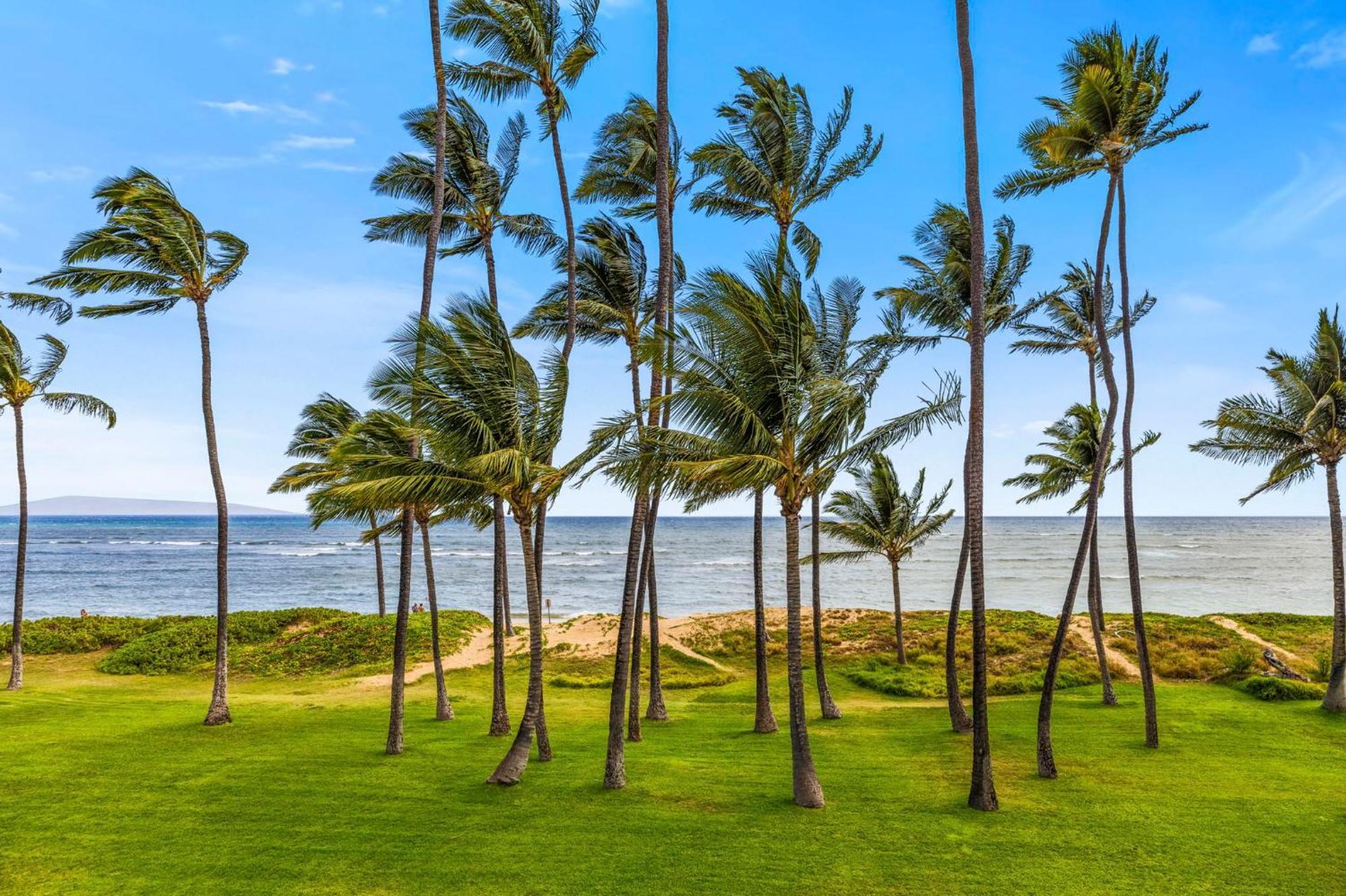Hale Kai O'Kihei 317 Apartment Ngoại thất bức ảnh
