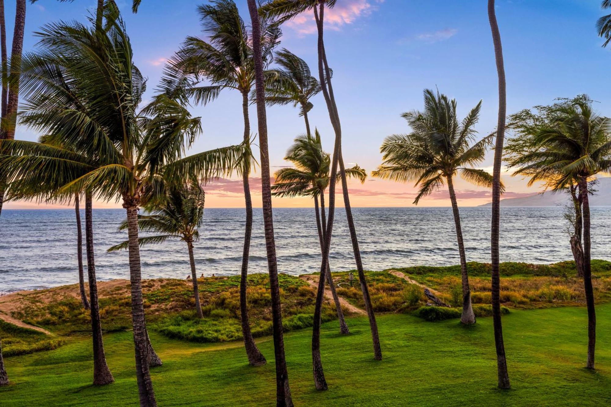 Hale Kai O'Kihei 317 Apartment Ngoại thất bức ảnh